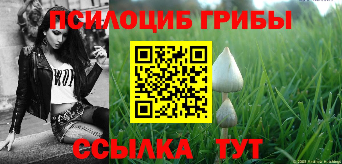 Галлюциногенные грибы Psilocybe  Вход с VPN  Армавир 